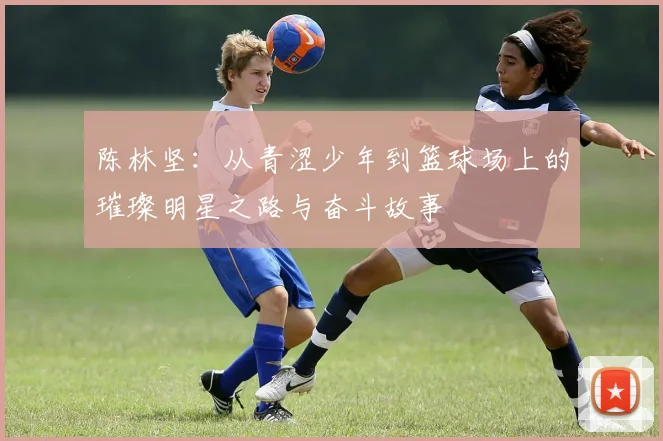 陈林坚：从青涩少年到篮球场上的璀璨明星之路与奋斗故事