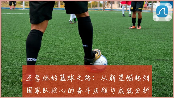 王哲林的篮球之路：从新星崛起到国家队核心的奋斗历程与成就分析