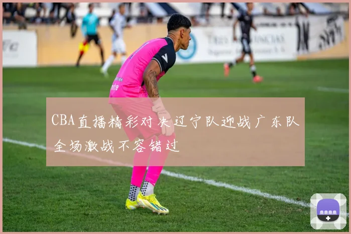 CBA直播精彩对决辽宁队迎战广东队全场激战不容错过