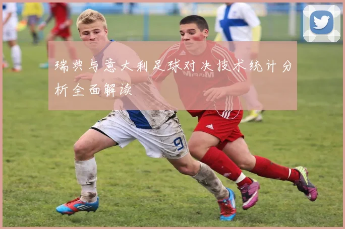 瑞典与意大利足球对决技术统计分析全面解读
