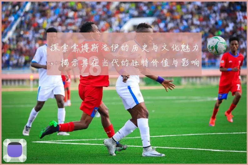 探索索博斯洛伊的历史与文化魅力，揭示其在当代的独特价值与影响力