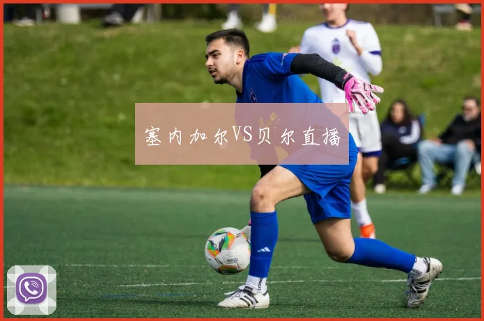 塞内加尔VS贝尔直播
