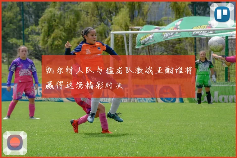 凯尔特人队与猛龙队激战正酣谁将赢得这场精彩对决