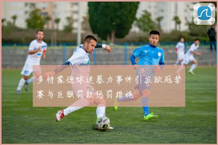 多特蒙德球迷暴力事件引发欧冠禁赛与巨额罚款惩罚措施