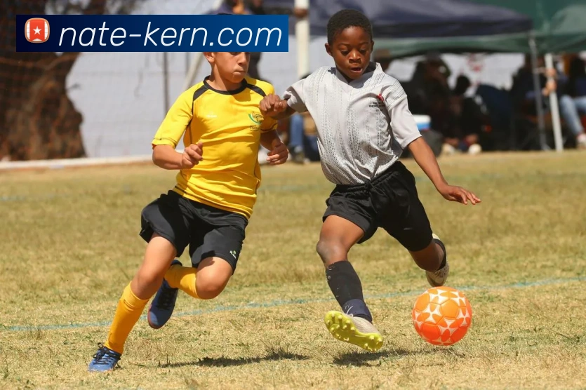 多媒体互动体验